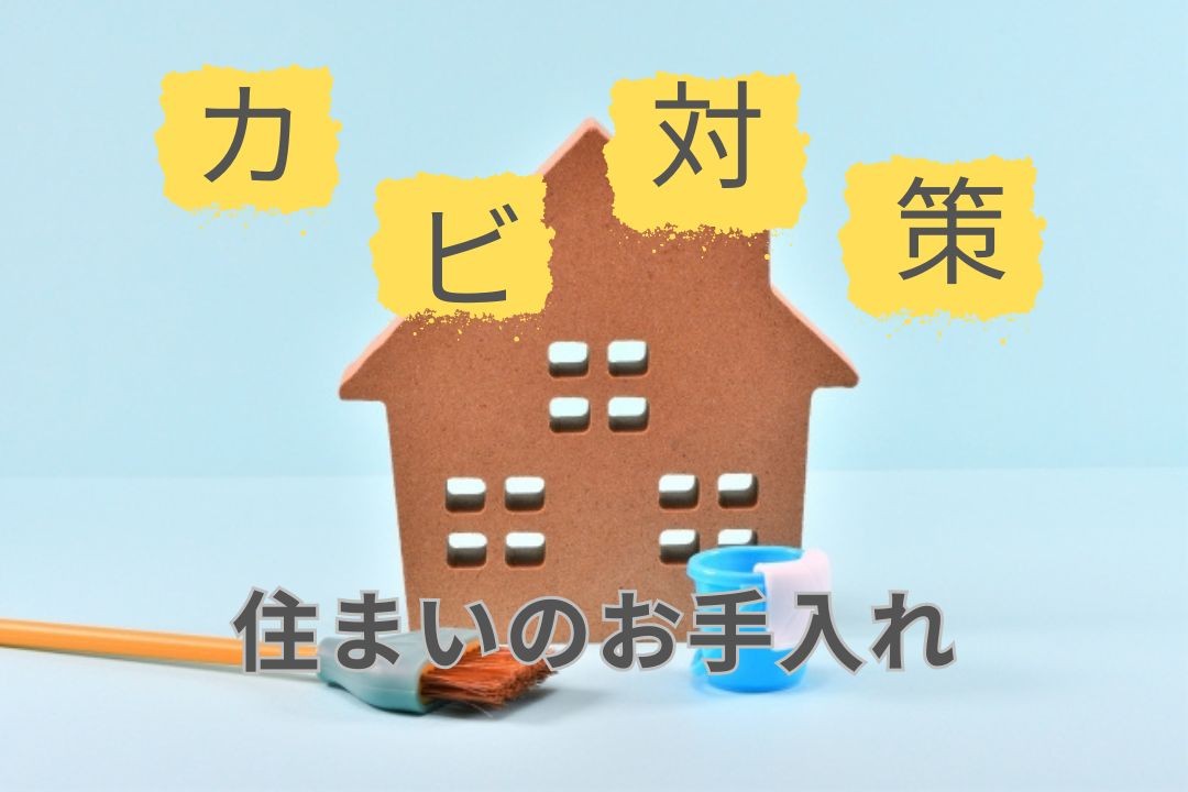 【コラム】住まいのお手入れカビ対策