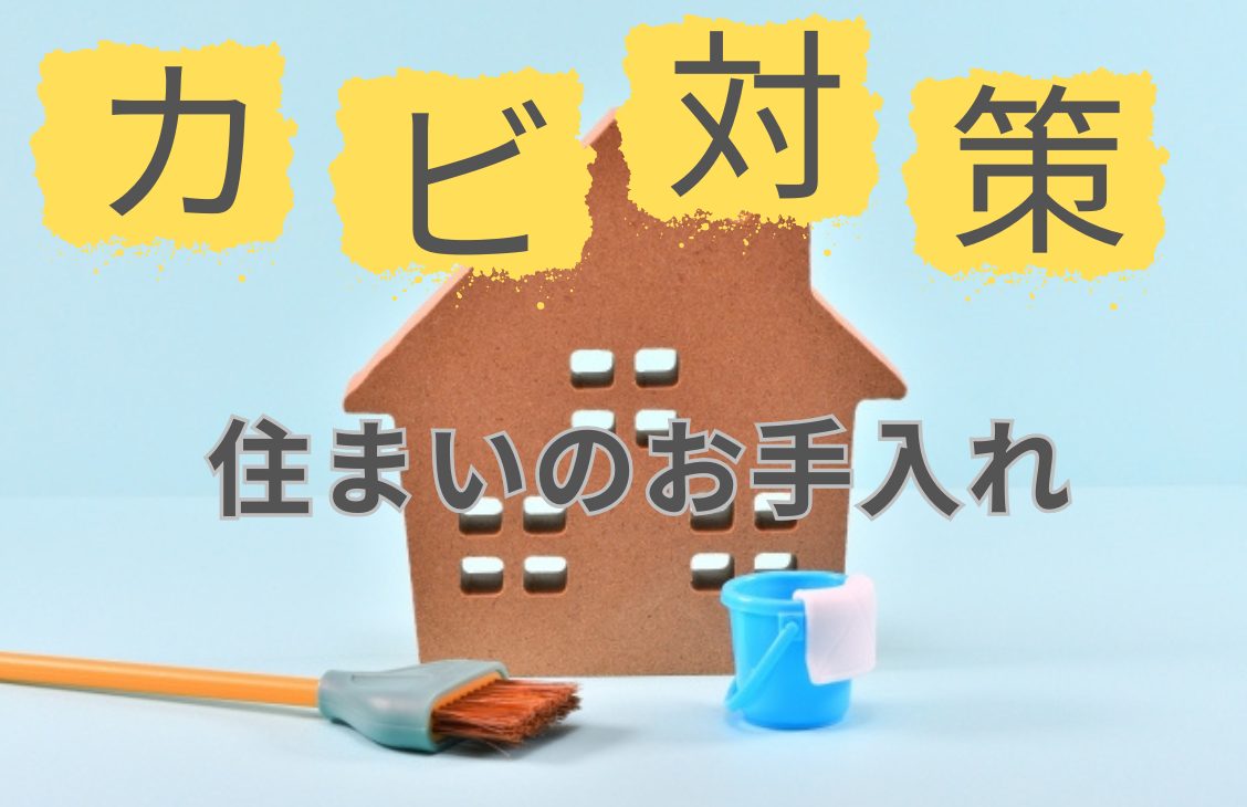 【お知らせ】住まいのお手入れカビ対策