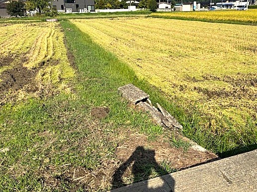 【ブログ】秋の兆し