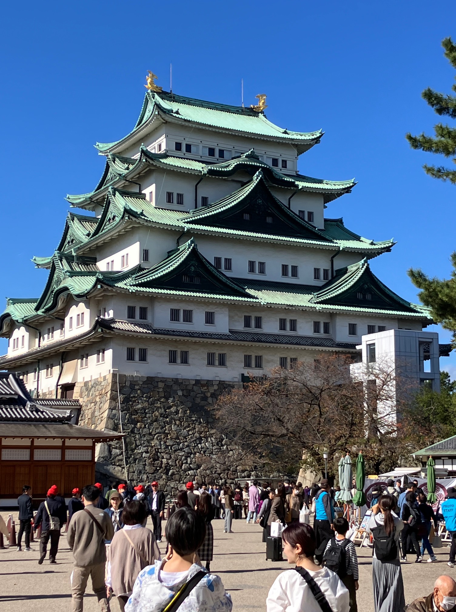 【ブログ】名古屋市にいきました