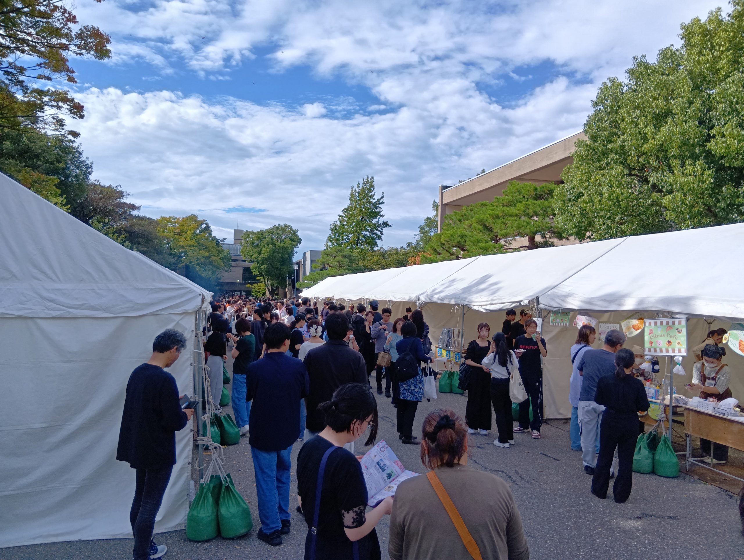 【ブログ】青春の１ページ