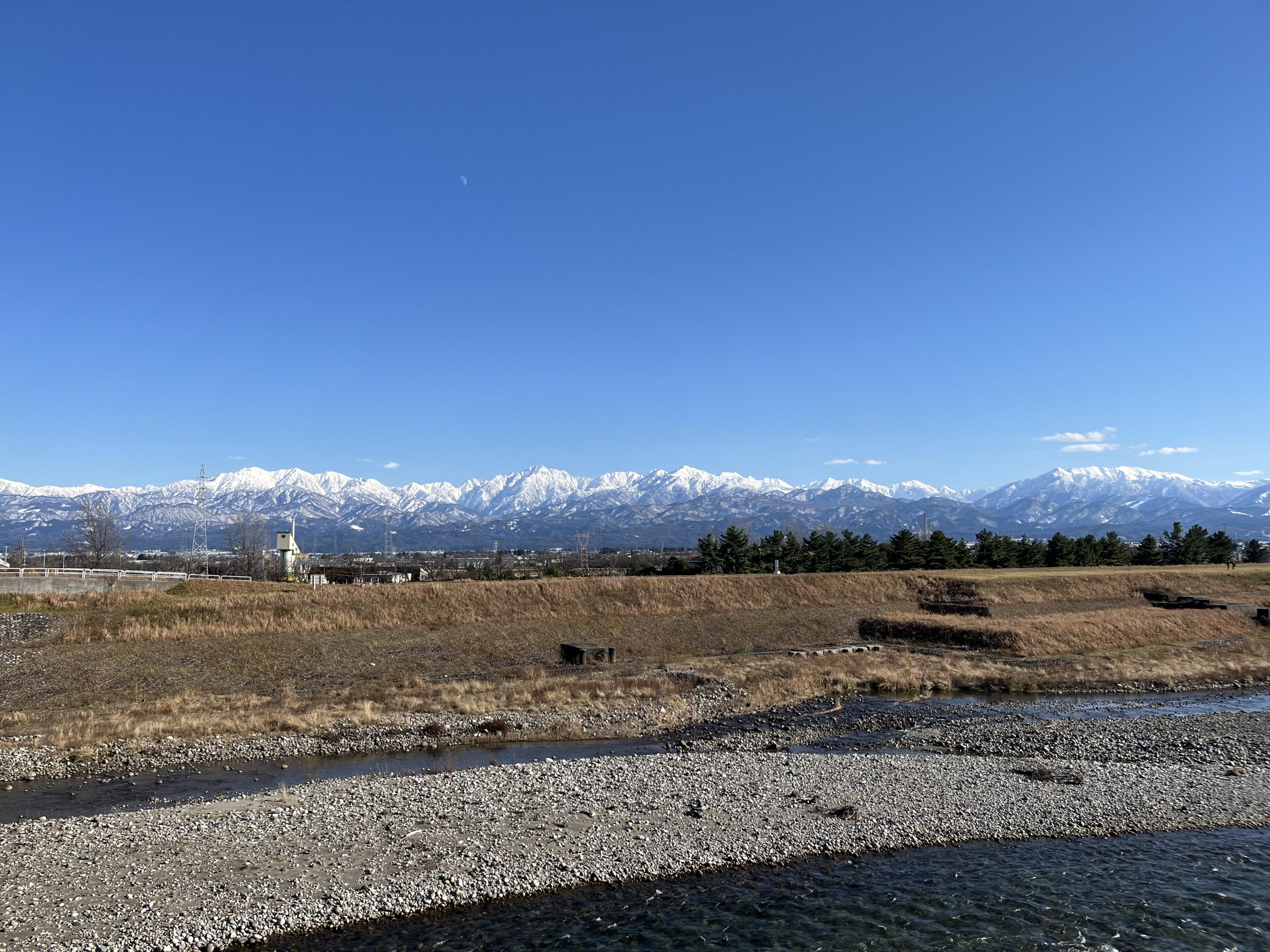 タイトルが表示されます。