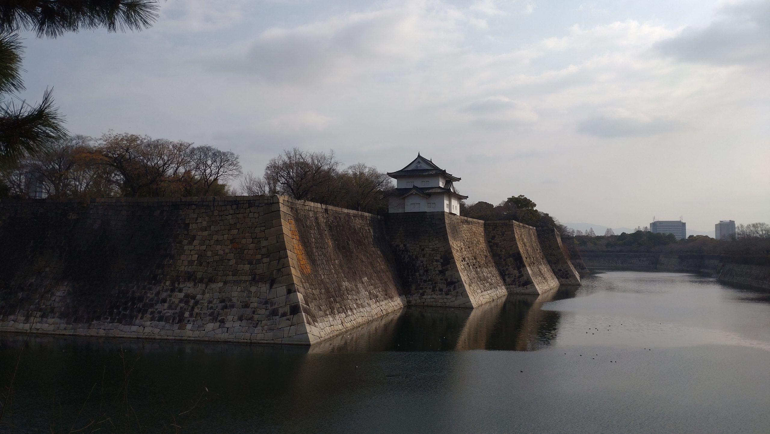 タイトルが表示されます。