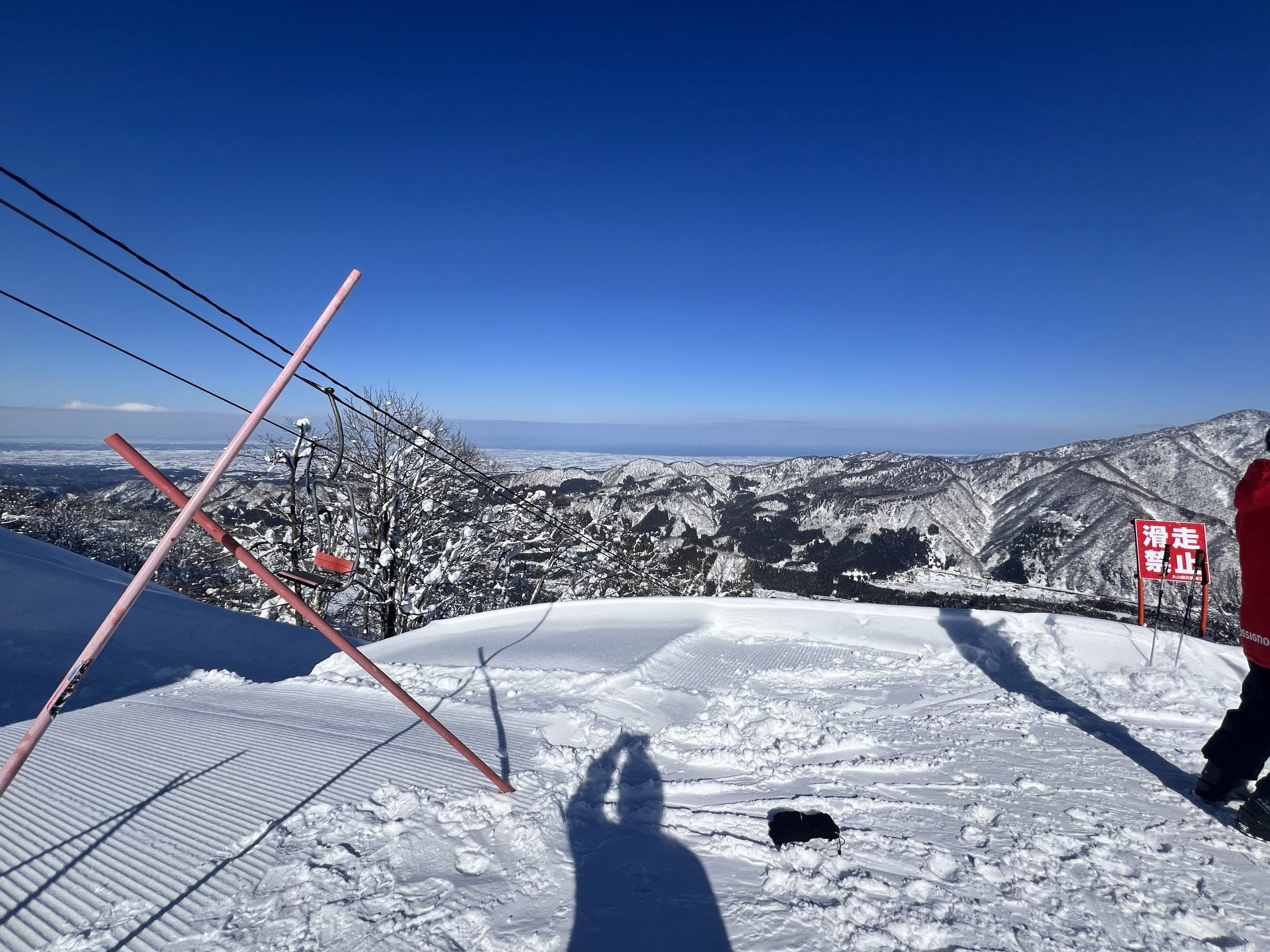 タイトルが表示されます。
