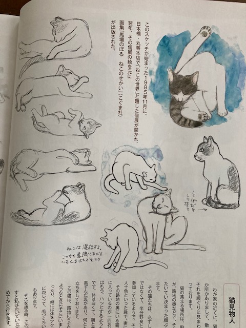 タイトルが表示されます。