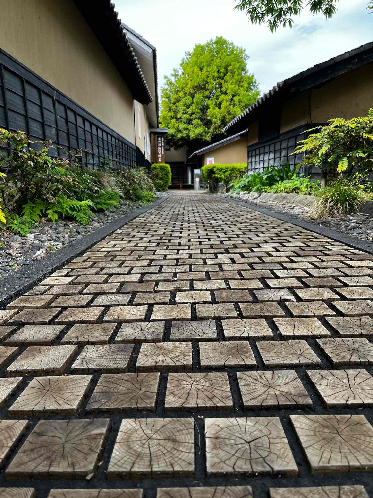 タイトルが表示されます。