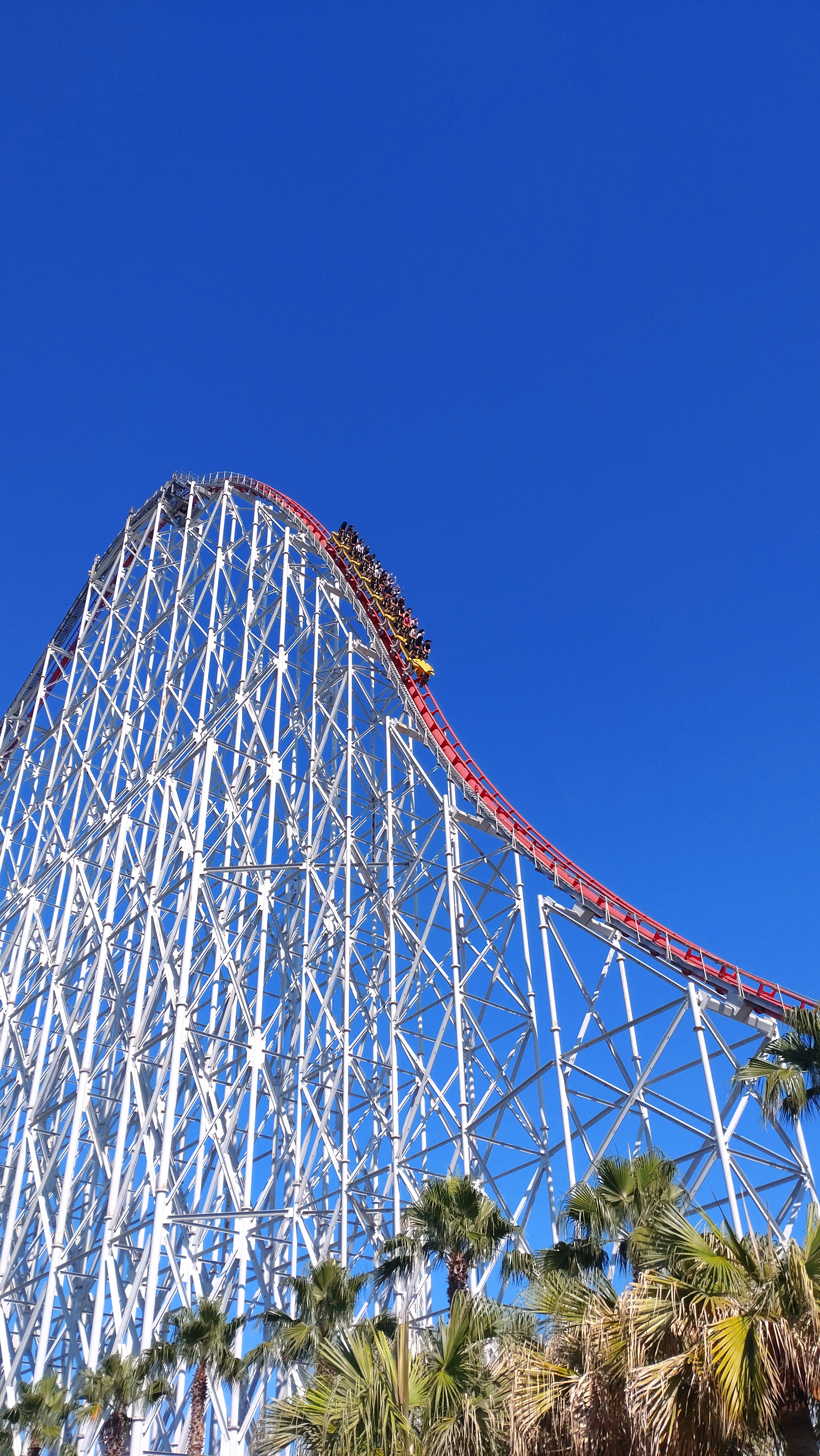 久々の絶叫マシン🎢😱